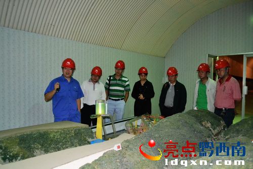 圖為協(xié)調(diào)組在魯布格調(diào)峰調(diào)頻發(fā)電廠從模型系統(tǒng)中了解生產(chǎn)情況.jpg