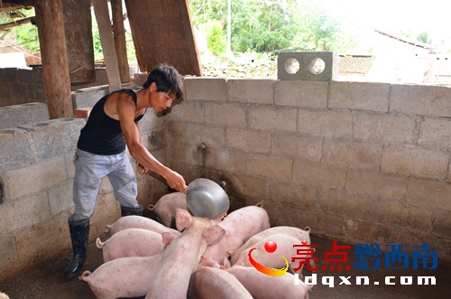 <a href=http://www.kshx-dzby.com/news/zhenfeng/ target=_blank class=infotextkey>ؑSh</a>(zhn)l(xing)B(yng)i¸DƬf.jpg