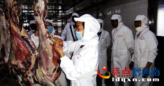 羊肉加工現(xiàn)場(盧關文 攝) (1).jpg