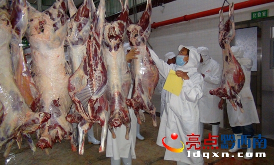 羊肉加工現(xiàn)場(盧關文 攝) (3).jpg