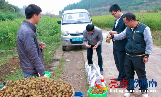 路過(guò)的朋友品嘗無(wú)籽刺梨.jpg