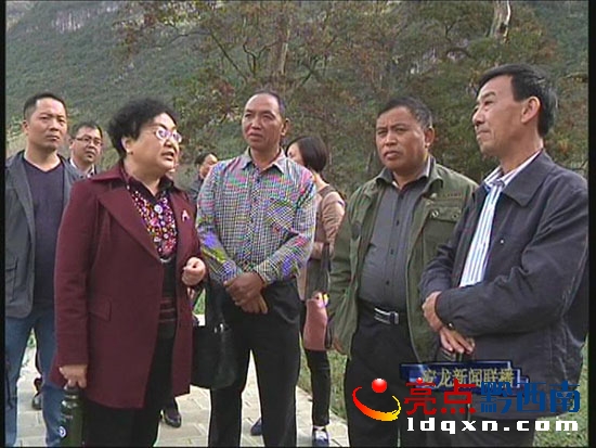 州人大民宗僑委主任楊鯉菊(前左一）縣人大副主任韋安忠（前右一）在打凼村調(diào)研.jpg