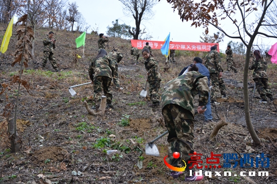 2.14植樹(shù)活動(dòng)1.jpg