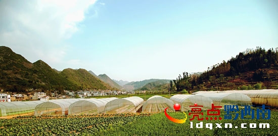 無公害蔬菜基地.jpg