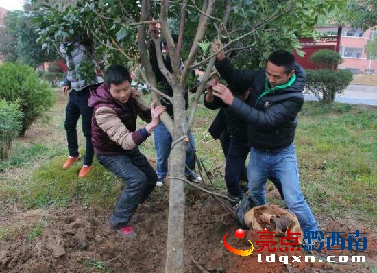 QQ截圖20170123113950.jpg