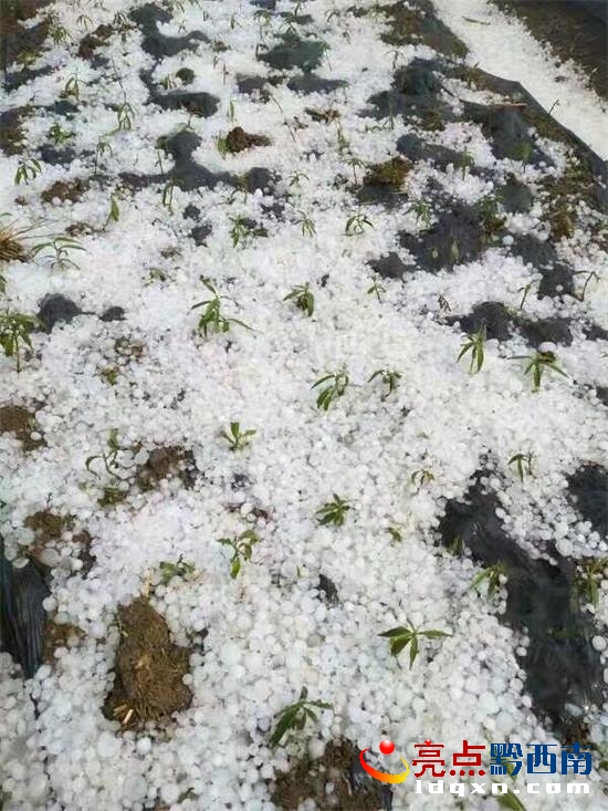 未設(shè)炮站的義龍試驗(yàn)區(qū)頂效.jpg
