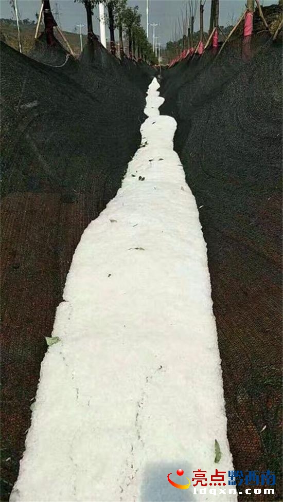 未設(shè)炮站的義龍試驗(yàn)區(qū)頂效1.jpg