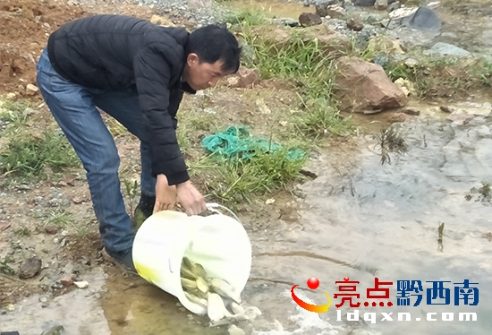 捕魚全部放生.jpg