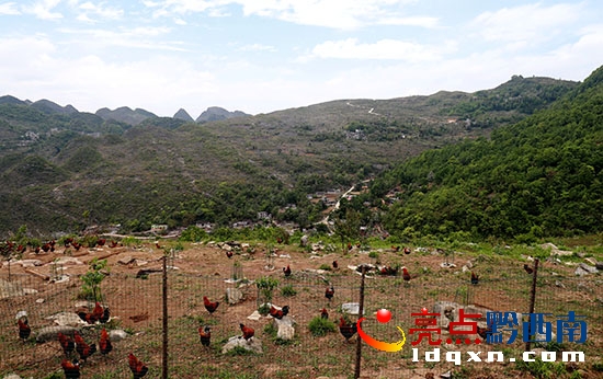 半坡村一角 (2).JPG