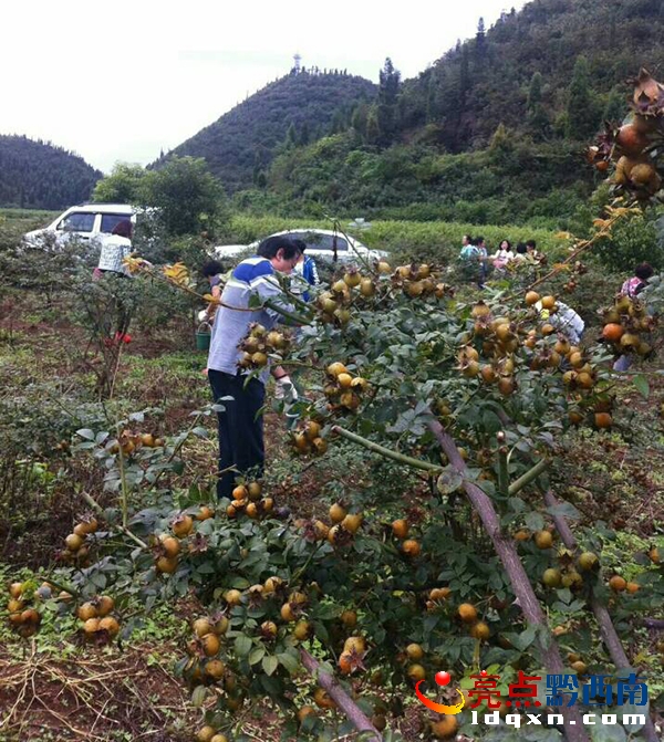 QQ圖片20171009164434.jpg
