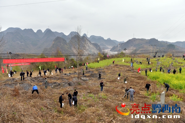 植樹現(xiàn)場4.jpg