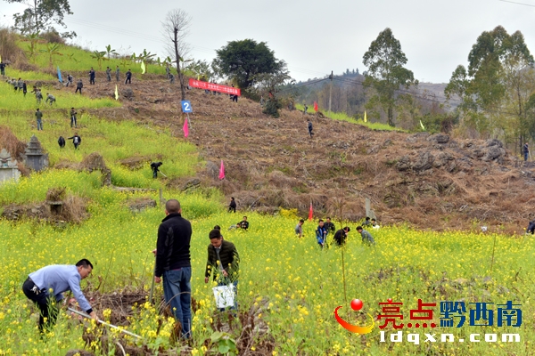 植樹現(xiàn)場.jpg