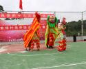 義龍新區(qū)鄭屯鎮(zhèn)前鋒村老年協(xié)會歡度“九九”重陽節(jié)